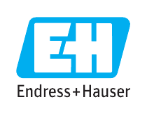 Endress Hauser